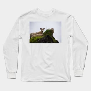 Icelandic Sheep Long Sleeve T-Shirt